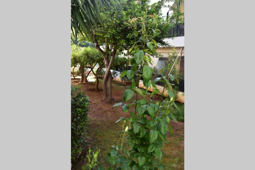 Tropicana أثينا المظهر الخارجي الصورة